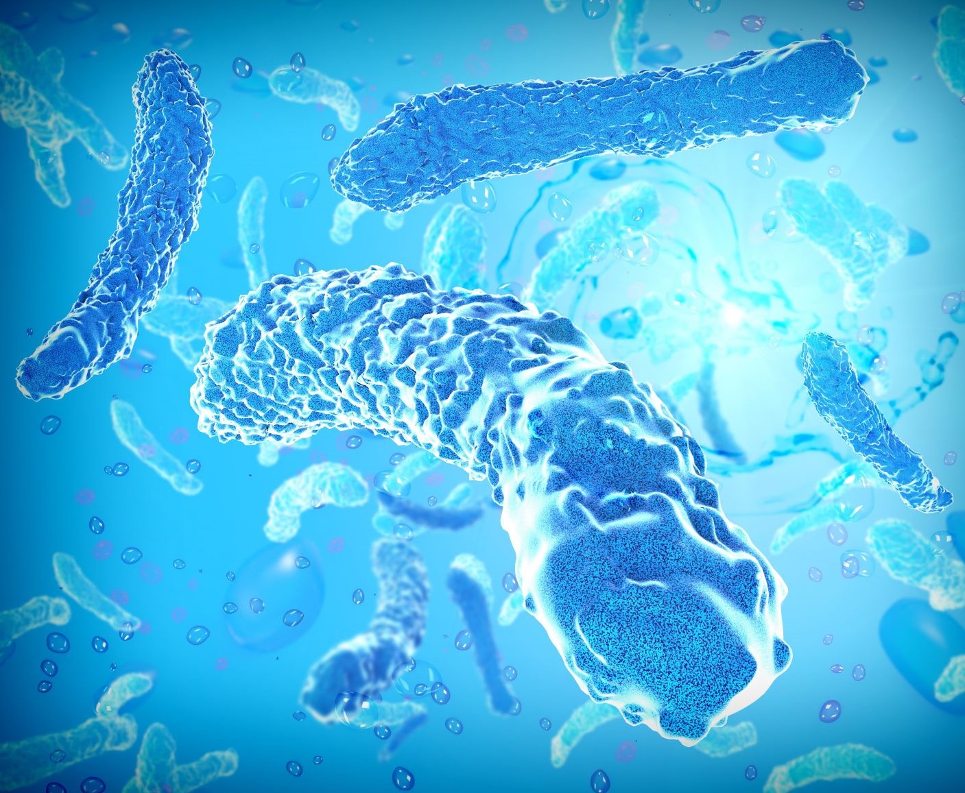 Legionella bacteria