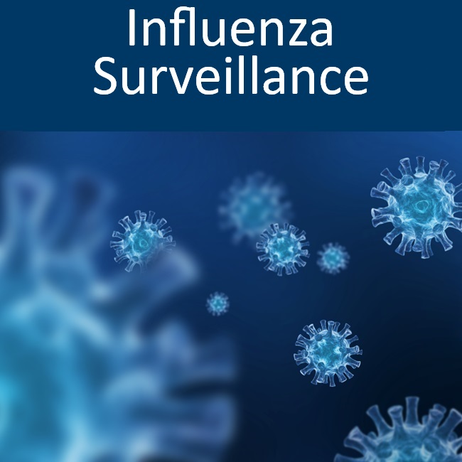 Influenza Surveillance sub form with image of influenza virus
