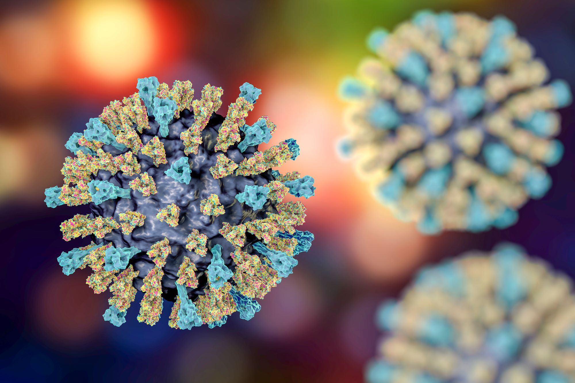 measles virus
