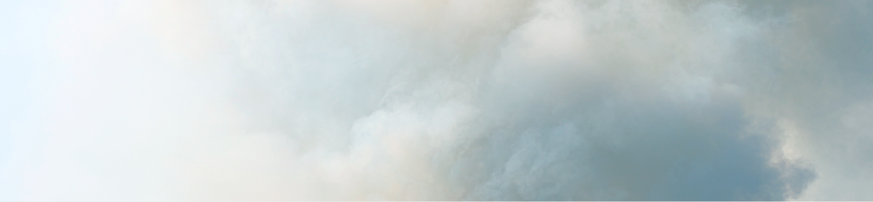 wildfire smoke
