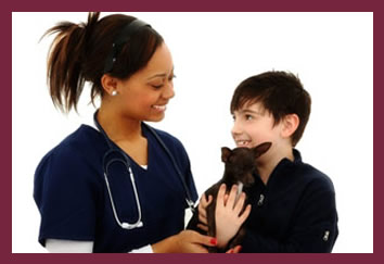 veterinary photo