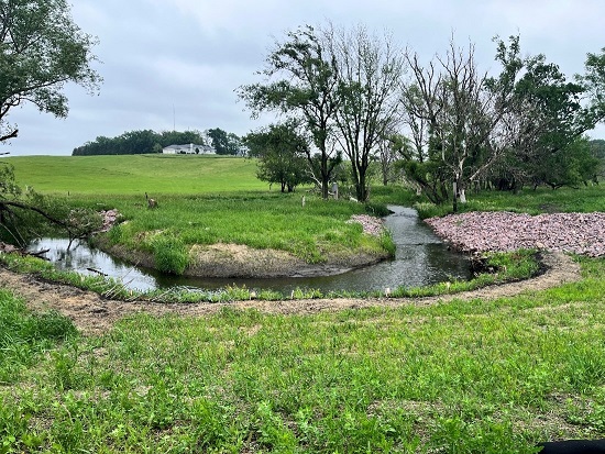 fairmont wetland