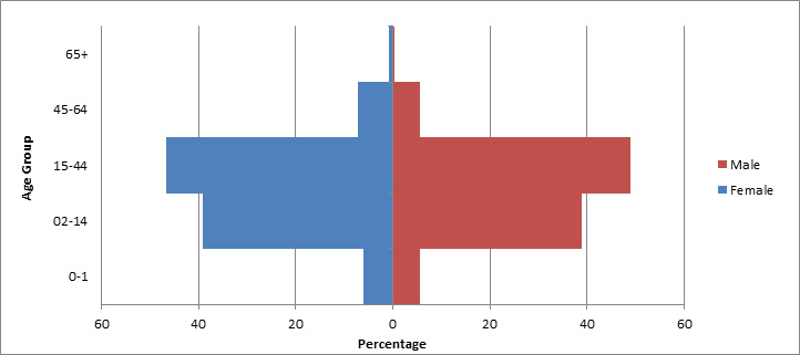 Age distribution for Congolese refugees, 2008–2019