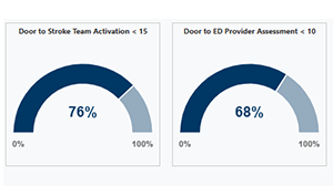 stroke portal data page