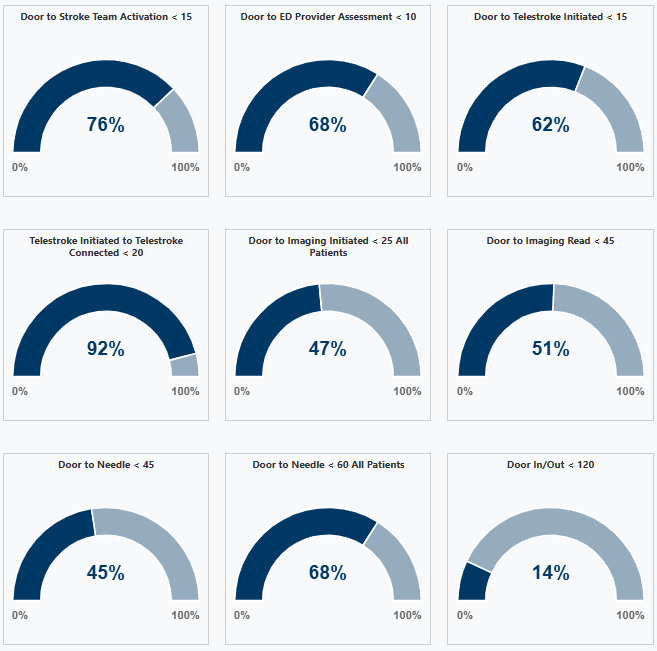 MN Stroke Portal home page displays key stroke metrics to support quality improvement tracking