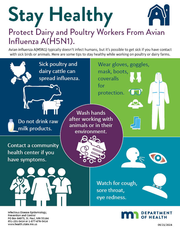 Stay Healthy. Protect Dairy and Poultry Workers from Avian Influenza