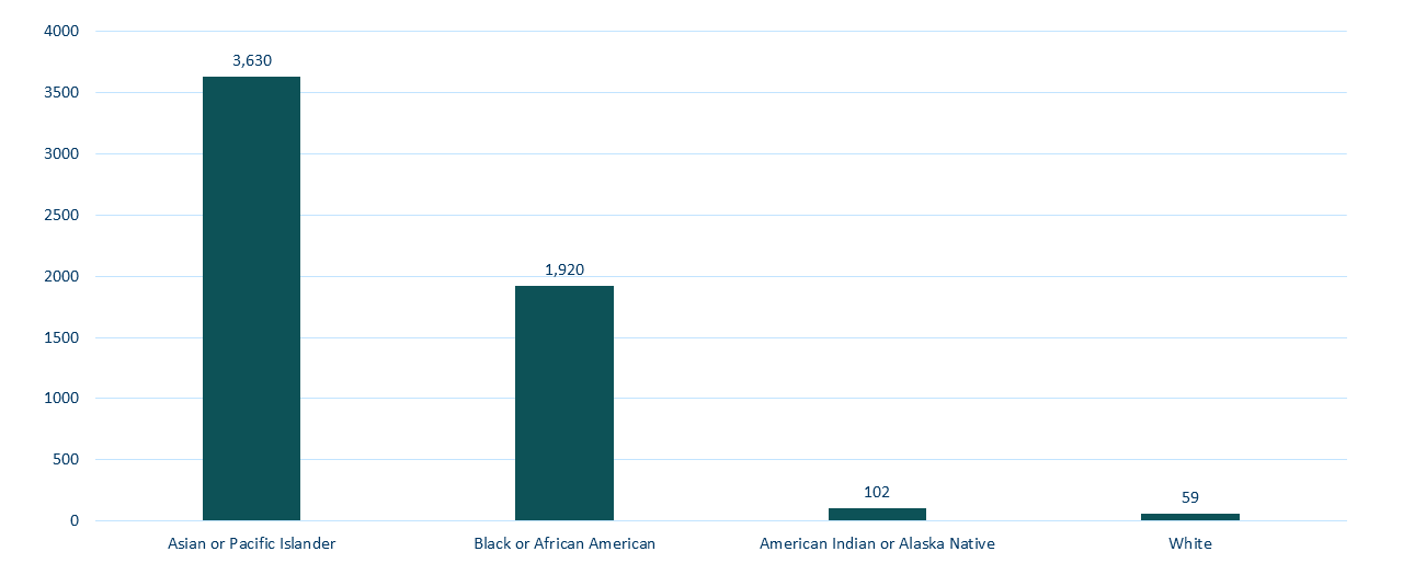 persons living with chronic HBV in MN by race rates