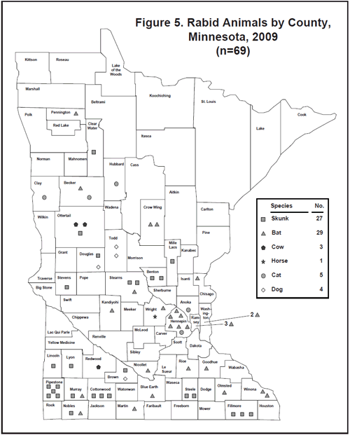 Rabid Animals by County