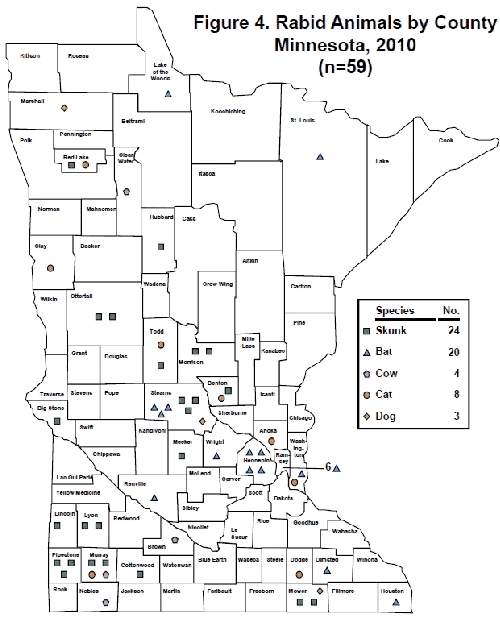 Rabid Animals by County