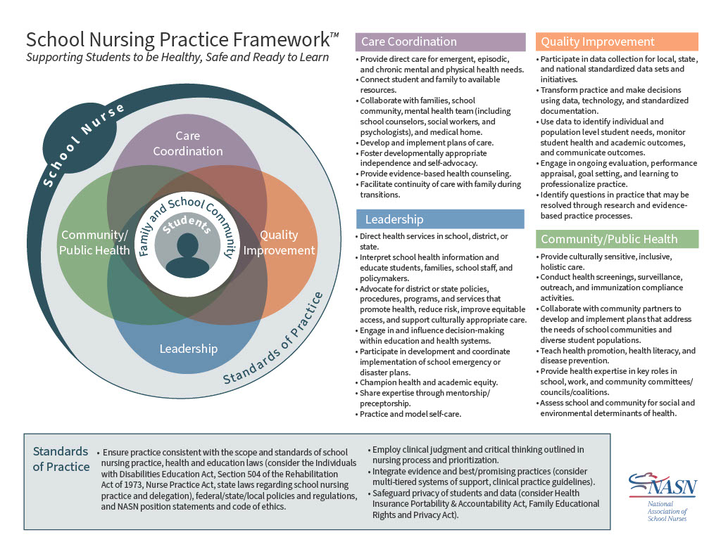 school nursing practice framework