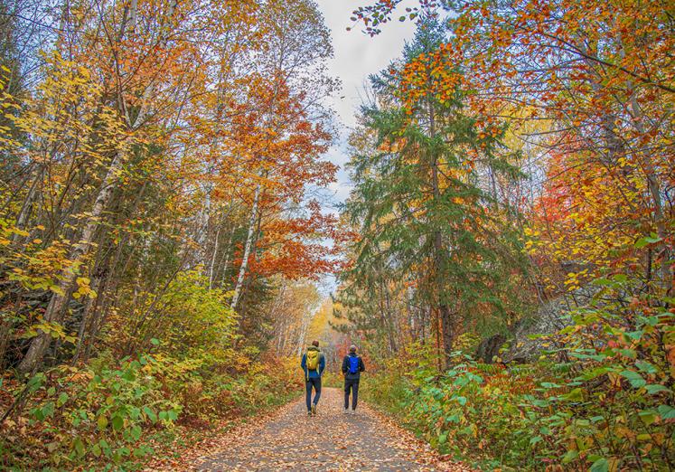 People hiking in fall